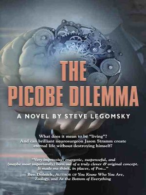 cover image of THE PICOBE DILEMMA
